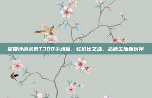 深度评测众泰T300手动挡，性价比之选，品质生活新伙伴