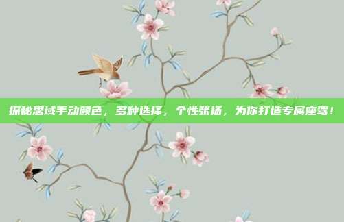 探秘思域手动颜色，多种选择，个性张扬，为你打造专属座驾！