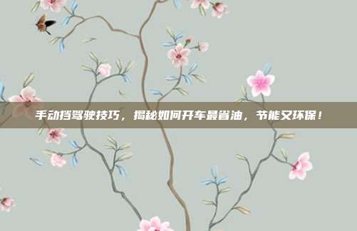 手动挡驾驶技巧，揭秘如何开车最省油，节能又环保！