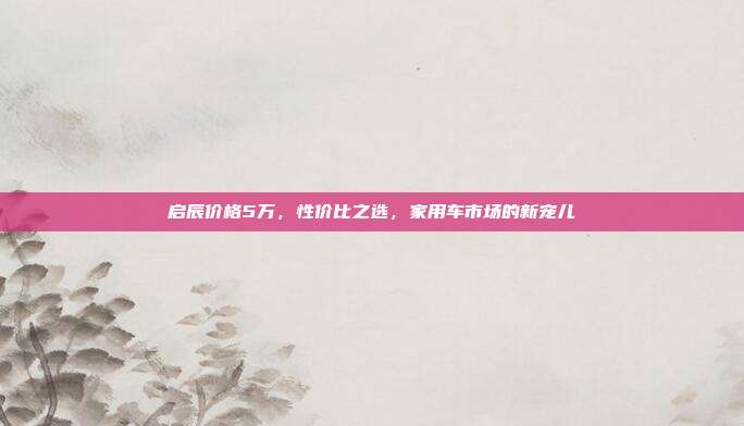 启辰价格5万，性价比之选，家用车市场的新宠儿