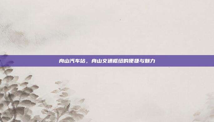 舟山汽车站，舟山交通枢纽的便捷与魅力