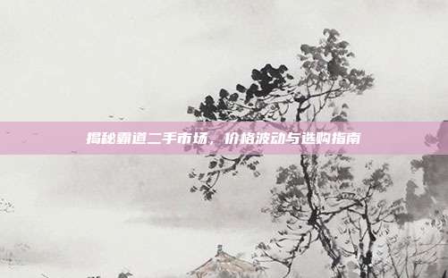 揭秘霸道二手市场，价格波动与选购指南