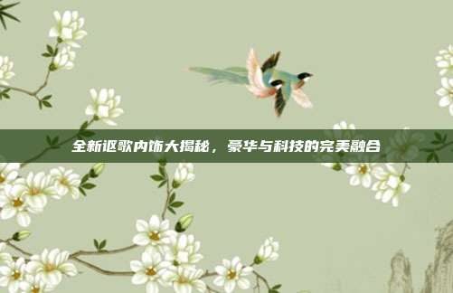 全新讴歌内饰大揭秘，豪华与科技的完美融合