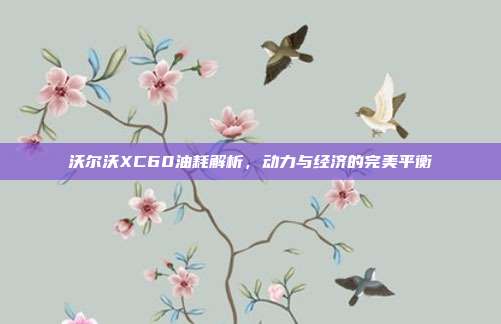 沃尔沃XC60油耗解析，动力与经济的完美平衡