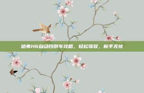 哈弗H6自动挡倒车攻略，轻松驾驭，新手无忧