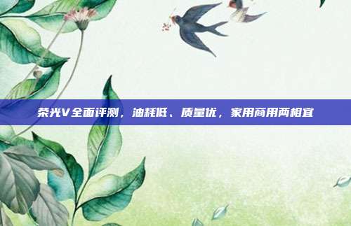 荣光V全面评测，油耗低、质量优，家用商用两相宜
