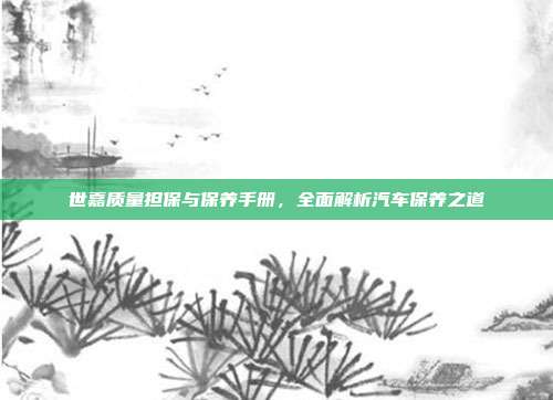 世嘉质量担保与保养手册，全面解析汽车保养之道