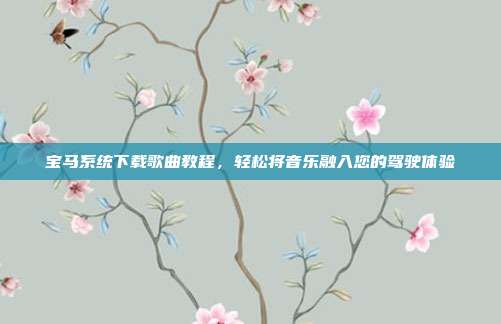 宝马系统下载歌曲教程，轻松将音乐融入您的驾驶体验