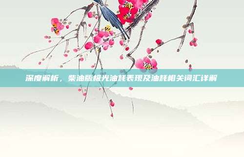 深度解析，柴油版极光油耗表现及油耗相关词汇详解