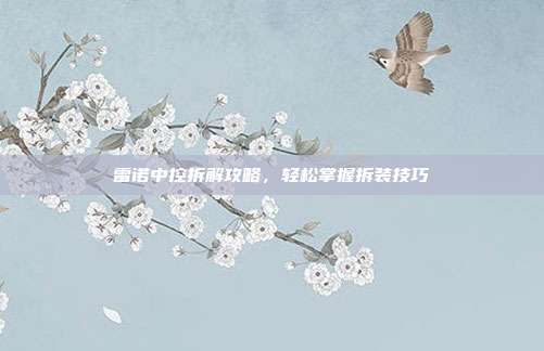 雷诺中控拆解攻略，轻松掌握拆装技巧