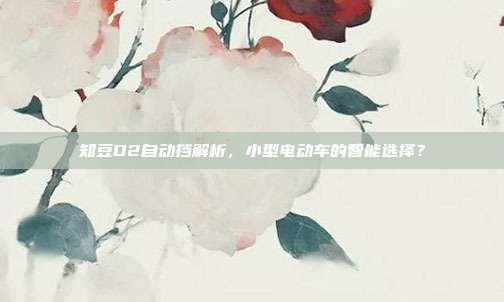 知豆D2自动挡解析，小型电动车的智能选择？
