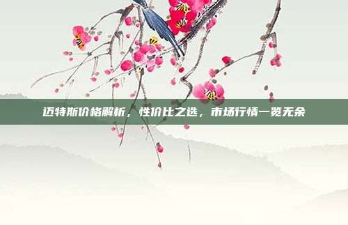 迈特斯价格解析，性价比之选，市场行情一览无余