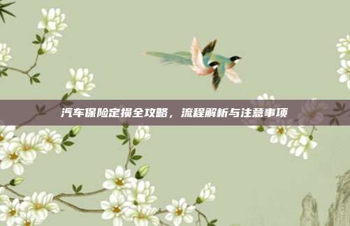 汽车保险定损全攻略，流程解析与注意事项