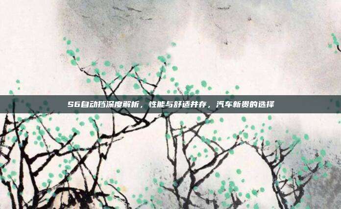 S6自动挡深度解析，性能与舒适并存，汽车新贵的选择