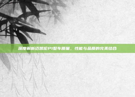 深度解析迈凯伦P1整车质量，性能与品质的完美结合