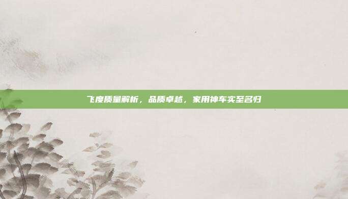 飞度质量解析，品质卓越，家用神车实至名归