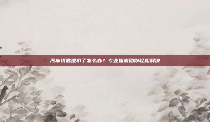 汽车钥匙进水了怎么办？专业指南助你轻松解决