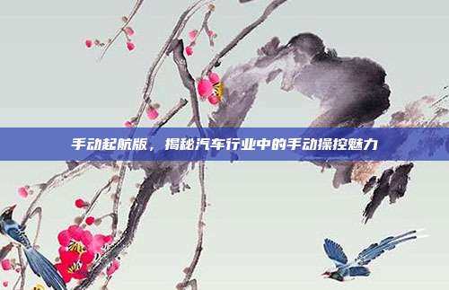 手动起航版，揭秘汽车行业中的手动操控魅力