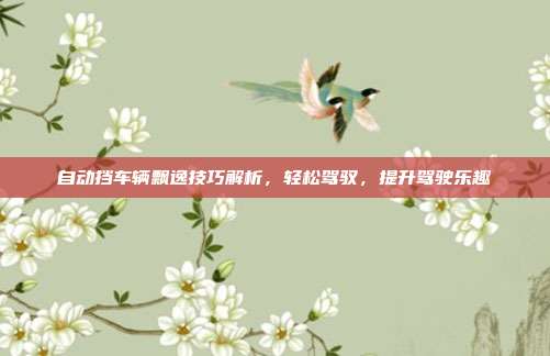 自动挡车辆飘逸技巧解析，轻松驾驭，提升驾驶乐趣