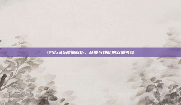 绅宝x35质量解析，品质与性能的双重考验
