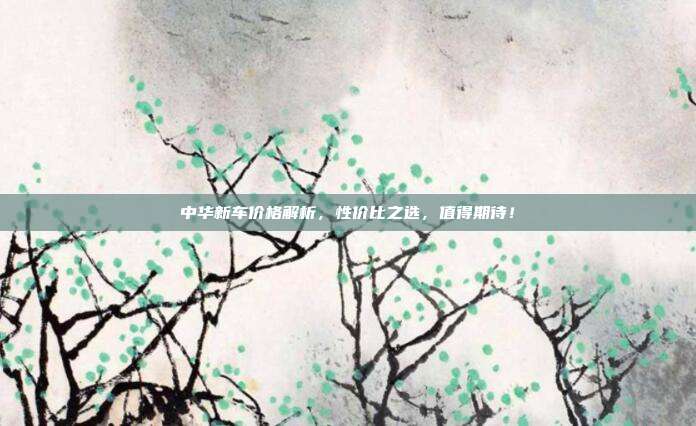 中华新车价格解析，性价比之选，值得期待！