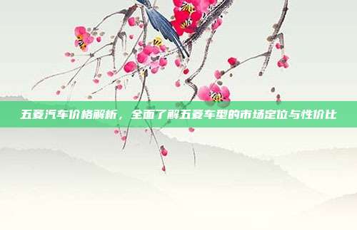 五菱汽车价格解析，全面了解五菱车型的市场定位与性价比