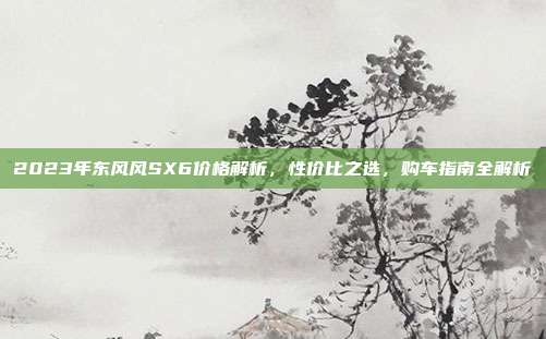 2023年东风风SX6价格解析，性价比之选，购车指南全解析
