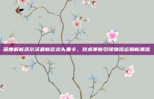 深度解析沃尔沃最新款尖头重卡，技术革新引领物流运输新潮流