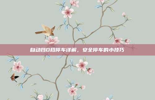 自动挡D档停车详解，安全停车的小技巧