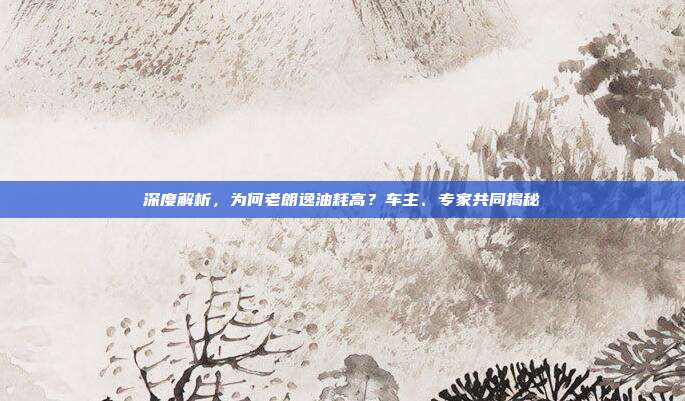 深度解析，为何老朗逸油耗高？车主、专家共同揭秘