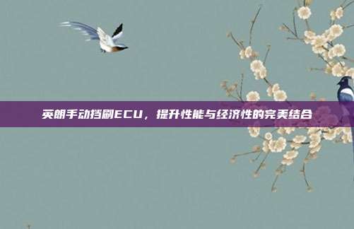 英朗手动挡刷ECU，提升性能与经济性的完美结合