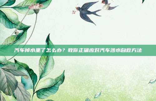 汽车掉水里了怎么办？教你正确应对汽车涉水自救方法