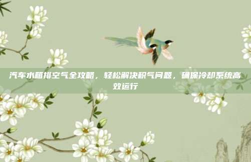 汽车水箱排空气全攻略，轻松解决积气问题，确保冷却系统高效运行