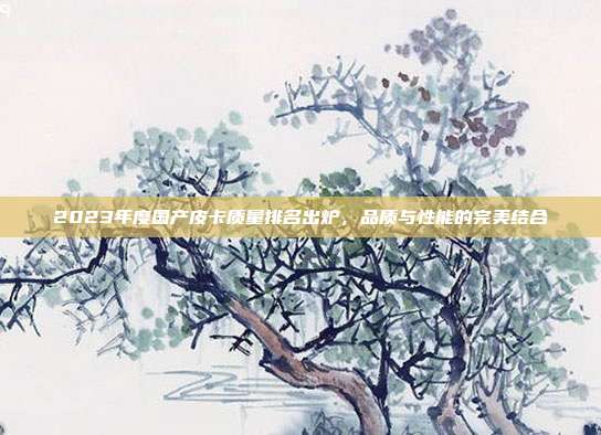 2023年度国产皮卡质量排名出炉，品质与性能的完美结合