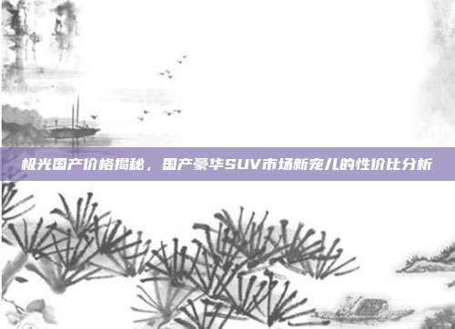 极光国产价格揭秘，国产豪华SUV市场新宠儿的性价比分析