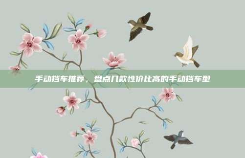 手动挡车推荐，盘点几款性价比高的手动挡车型