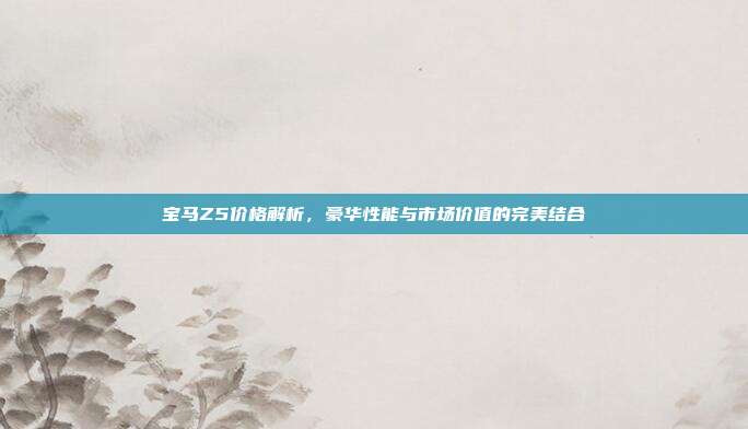 宝马Z5价格解析，豪华性能与市场价值的完美结合
