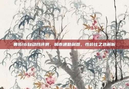 奥拓16自动挡评测，城市通勤利器，性价比之选解析