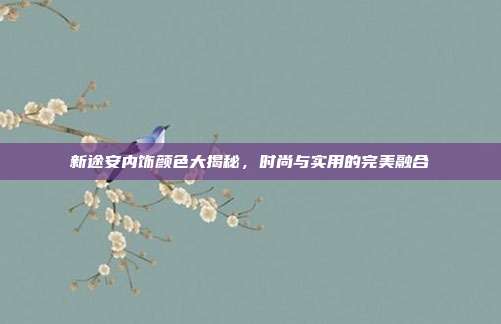 新途安内饰颜色大揭秘，时尚与实用的完美融合
