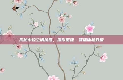 揭秘中控空调按键，操作便捷，舒适体验升级