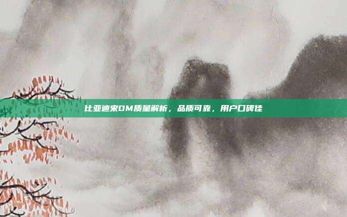 比亚迪宋DM质量解析，品质可靠，用户口碑佳