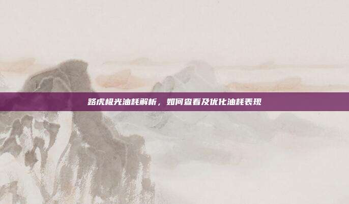 路虎极光油耗解析，如何查看及优化油耗表现