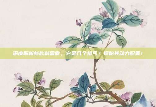 深度解析新款科雷傲，它是几个排气？揭秘其动力配置！