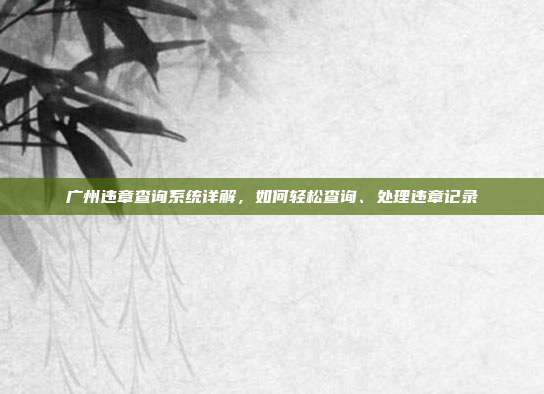 广州违章查询系统详解，如何轻松查询、处理违章记录
