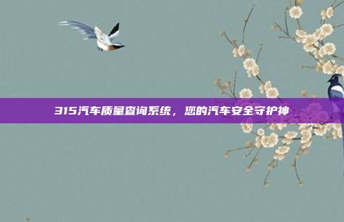 315汽车质量查询系统，您的汽车安全守护神