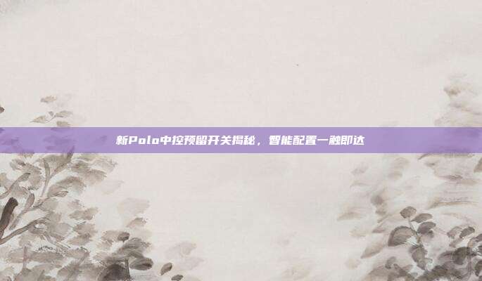新Polo中控预留开关揭秘，智能配置一触即达
