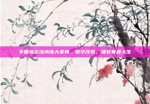 丰田埃尔法内饰大变身，豪华改装，驾驭尊贵人生
