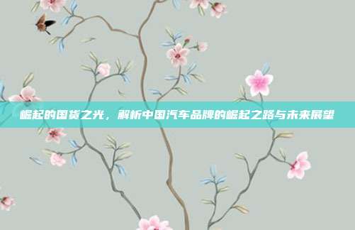 崛起的国货之光，解析中国汽车品牌的崛起之路与未来展望