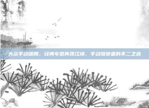 大众手动速腾，经典车型再现江湖，手动驾驶者的不二之选