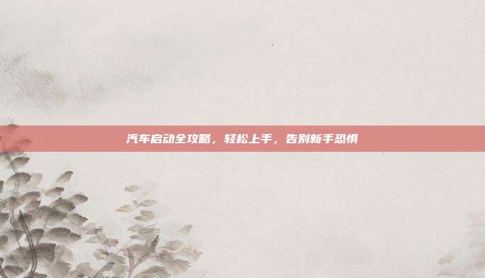 汽车启动全攻略，轻松上手，告别新手恐惧